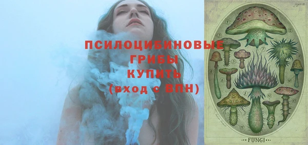 ПСИЛОЦИБИНОВЫЕ ГРИБЫ Алексеевка