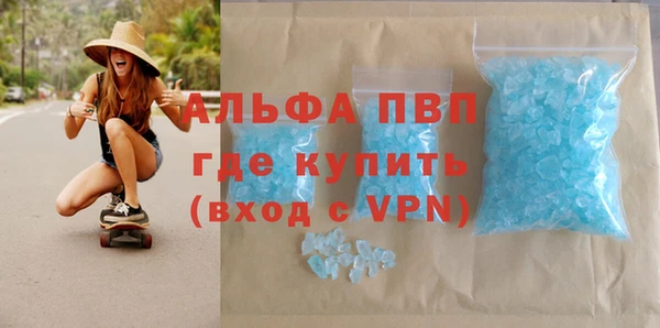 гашик Новодвинск