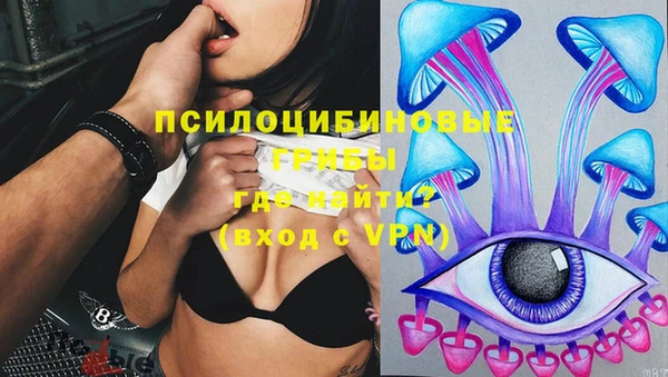 ПСИЛОЦИБИНОВЫЕ ГРИБЫ Алексеевка