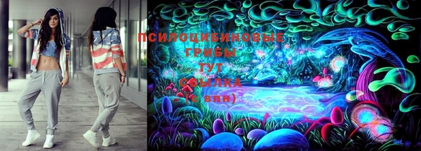ешки Алексин