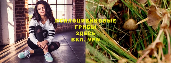 ешки Алексин