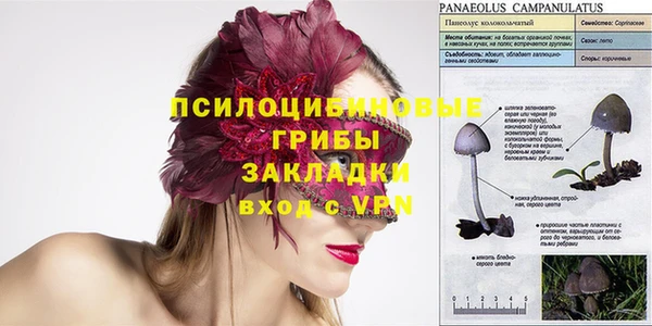 ПСИЛОЦИБИНОВЫЕ ГРИБЫ Алексеевка